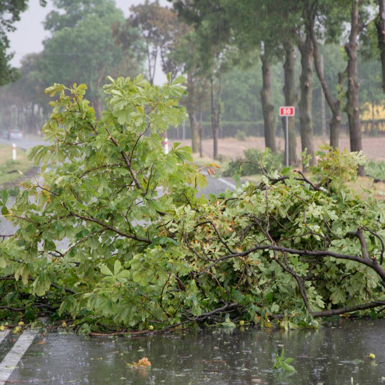 Junk removal and demolition in South Jordan, UT